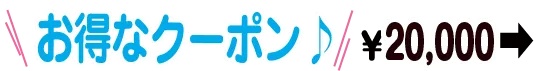 お得なクーポン20000円から