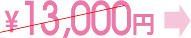 13,000円