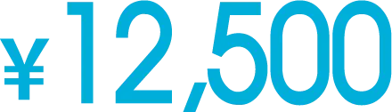 12,500円