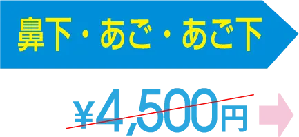 鼻下・あご・あご下 4,500