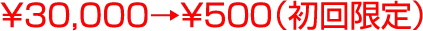 ￥30,000→￥５００（初回限定）