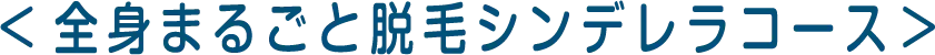 全身まるごと脱毛シンデレラコース