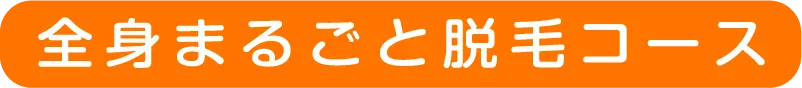 全身まるごと脱毛コース