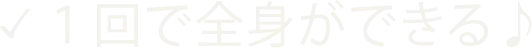 １回で全身ができる