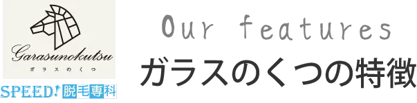 Our features ガラスのくつの特徴