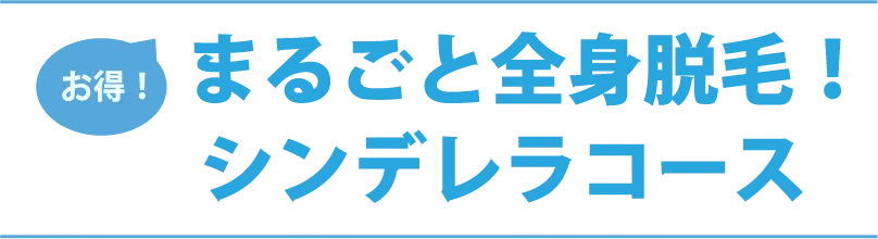 まるごと全身脱毛！シンデレラコース