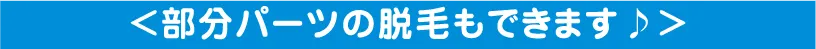 部分パーツの脱毛もできます