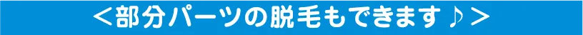 部分パーツの脱毛もできます